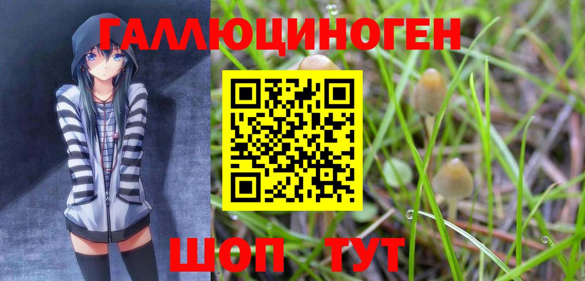 Кировск  Галлюциногенные грибы прущие грибы  Галлюциногенные грибы Magic Shrooms  Вход с VPN 